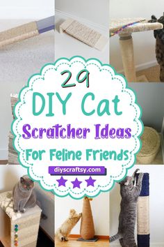 cat scratching posts with the words diy cat scratcher ideas for feline friends