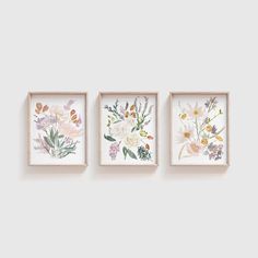 three floral paintings hanging on the wall