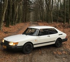 a white car parked in the middle of a forest