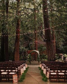 wedding chappel
decoration Dream Wedding Venues, Planning Wedding, Outdoor Reception, Forest Theme