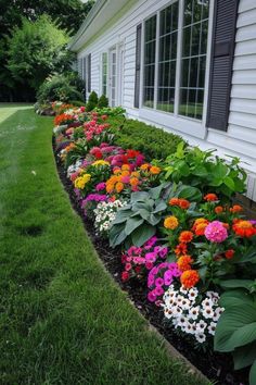 colorful flowers line the side of a house