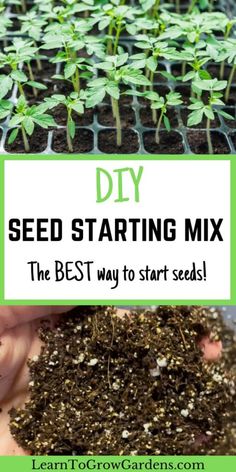 seed starting mix is the best way to start seeds