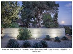 an outdoor area with some plants and lights on the wall, along with a large tree in the background