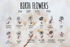 the birth flowers are shown in black and white, with pink lettering on it's side