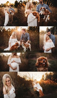 a couple and their dog are posing for pictures in the field at sunset with long grass