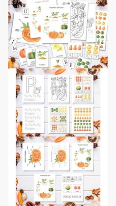 pumpkins and other fruits are arranged on a white surface with the letter p in it