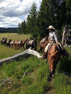 a man riding on the back of a brown horse next to a herd of horses