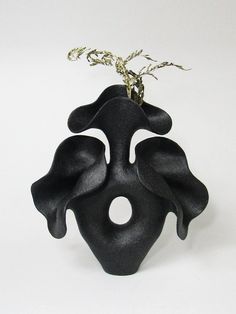 a black vase with some plants in it