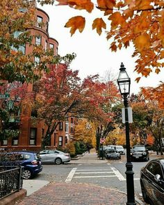 an empty street with cars parked on the side and autumn trees in the back ground