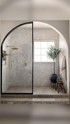 an arched glass shower door in a white tiled bathroom with a potted plant on the side