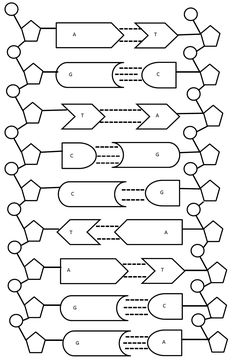 an image of a diagram with arrows and numbers on the bottom half of each line