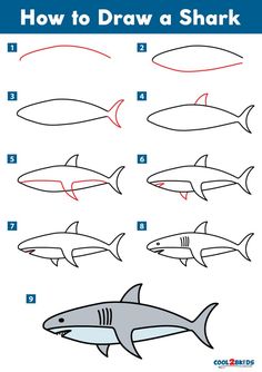 how to draw a shark step by step instructions for kids and beginners with pictures