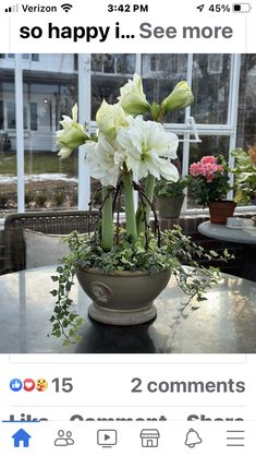 a potted plant with white flowers sitting on a table in front of a house