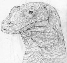 a drawing of a lizard's head is shown in this black and white photo