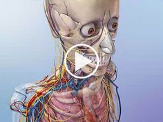 an animated image of the head and neck with wires all over it's body