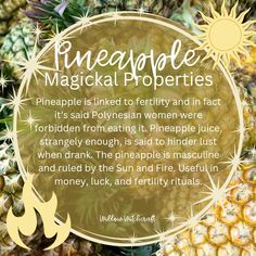 Willow Witchcraft Pineapple Magical Properties, Turmeric Witchcraft, Summer Blessings, Herb Meanings