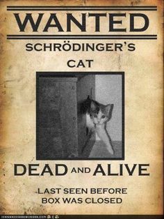 an old wanted poster with a cat in the corner and caption that reads, dead and alive