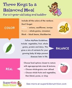 the three keys to a balanced meal for a balanced baby and toddler info sheet