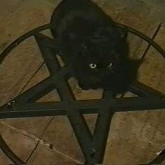 a black cat sitting in the middle of a pentagram