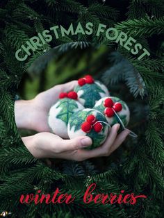 the cover of christmas forest by winter berries, with two hands holding an ornament