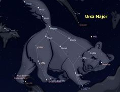 the bear is looking at the stars in the night sky