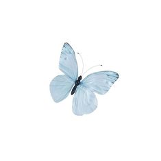 a blue butterfly flying through the air