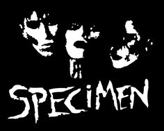 the words specmen written in white on a black background, with two faces drawn to it