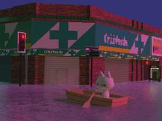 a cat in a boat floating on top of a flooded street next to a building