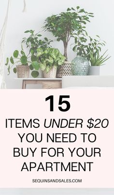 15 Items Under $20 You Need to Buy For Your Apartment Gifts For First Apartment College Students, How Much To Save For An Apartment, Deep Clean Apartment Before Moving In, How Much Should You Save For An Apartment, Best Places To Buy Dorm Stuff