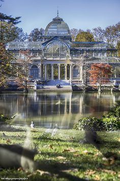 a pond in front of a large glass building