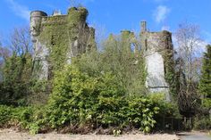 an old castle surrounded by trees and bushes