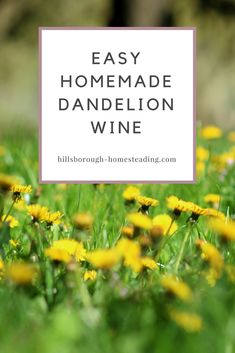 a field full of dandelion with the words easy homemade dandelion wine