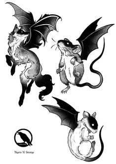 three black and white drawings of bats