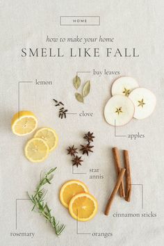 the ingredients for an apple cinnamon spice recipe