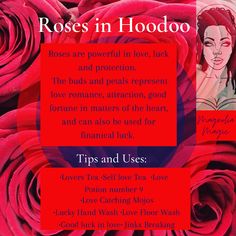 Hoodoo, rootwork , Mississippi, the magical uses of a rose Rose Incense Benefits, Hoodoo Tips, Rose Tea Benefits, Rose Petal Uses, Magical Herbs Witchcraft, Herbs Witchcraft, Herb Magic, Witchcraft Rituals