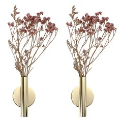 PRICES MAY VARY. This gorgeous flower vase tube is perfect for holding dried flowers, faux flowers, fake lavender, eucalyptus plants, cotton stems and other decorative pieces. The wall flower vase tube is made of metal, elegant and streamlined appearance design, simple and restrained color and shape to meet various home decoration styles. Package come with self adhesive pads, no need to drill hole, could be stick on the door, on the wall, on the porch, etc. Let the walls of the house no longer e Fake Lavender, Wall Flower Vases, Cotton Stems, Flower Holder, Metal Flower, Flower Display, Paper Flowers Diy, Modern Flower, Water Flowers