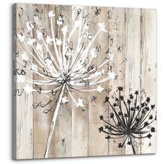 a dandelion on a wooden wall with white and black paint sprinkles