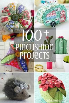 several different pictures with the words 100 + pincusion projects