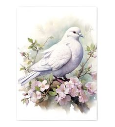 a white bird sitting on top of a tree branch with pink flowers in the background