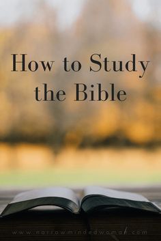 an open book with the words how to study the bible on it, in front of a blurry background