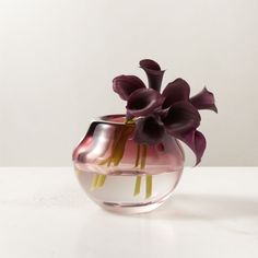 a glass vase with purple flowers in it