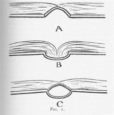 three different types of books are shown in this diagram, and each one has an open book