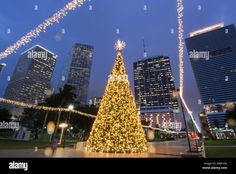 a christmas tree is lit up in front of the city skyline at night - stock image