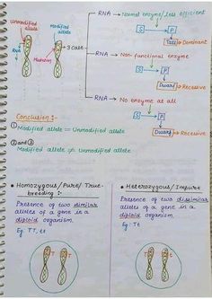 Allele heterozygous impure and pure Homozygous allele Chromosome and genetics biology Hand written Notes by best chemistry teacher Sir Asadullah Mastoi Handwriting Ideas, Talking Behind Your Back, 8th Grade Science, Study Flashcards, Chemistry Teacher