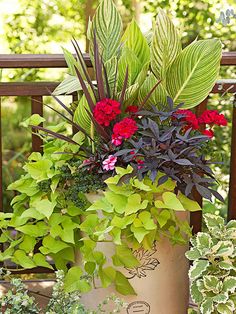 a potted planter filled with lots of different types of flowers and greenery