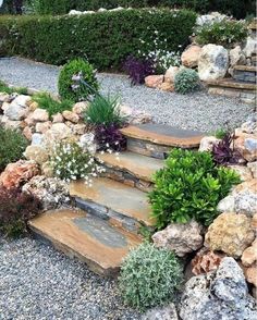 an outdoor garden with rocks and plants on the ground, along with stone steps leading up to