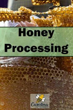 the words honey processing are in front of a beehive filled with honeycombs