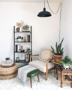 a living room filled with lots of furniture and plants on top of bookshelves