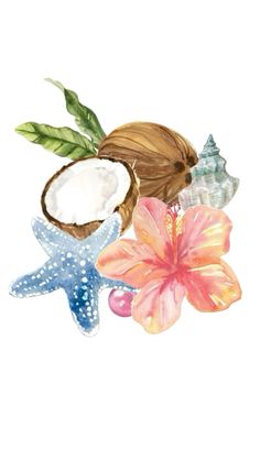 watercolor painting of coconuts, starfish and seashells on white background