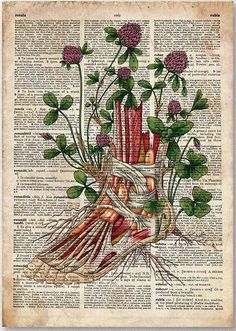 an old book page with flowers and leaves on it, in the shape of a human body